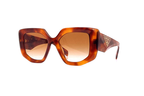 Prada - SPR 14Z (Cognac Tortoise)