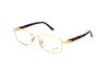 Persol - 1029V (Gold) [54]