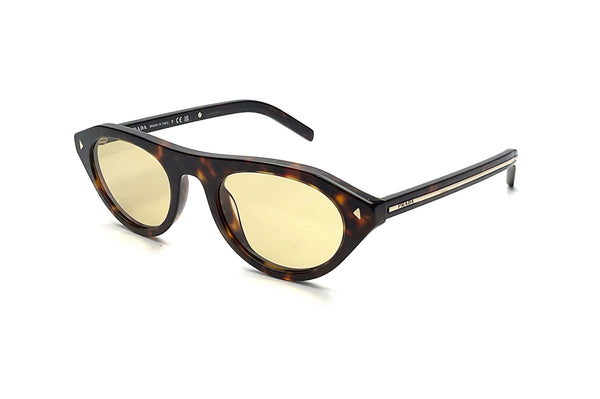 Prada - SPR B15 (Root Tortoise)