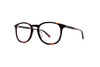 Garrett Leight - Kinney (Redwood Tortoise)