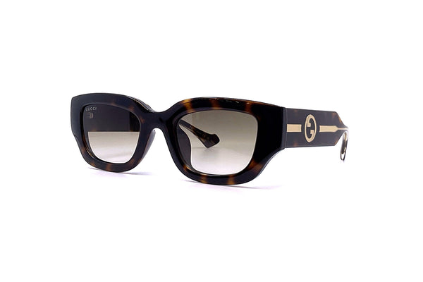 Gucci - GG1558SK (Havana)