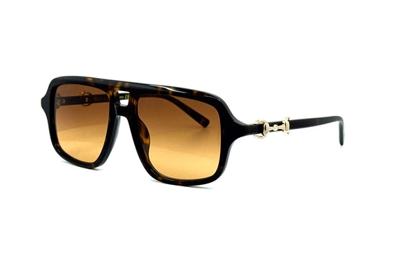 Gucci - GG2052S (Havana | Brown)