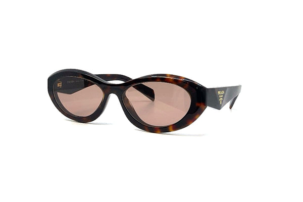 Prada - SPR 26Z (Root Tortoise)