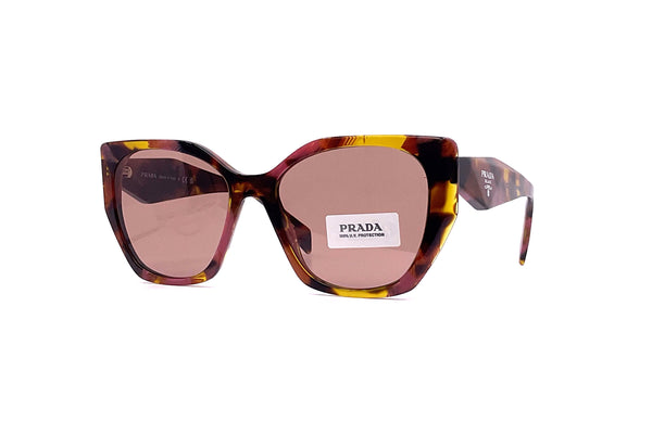 Prada - SPR 19Z (Tortoise)