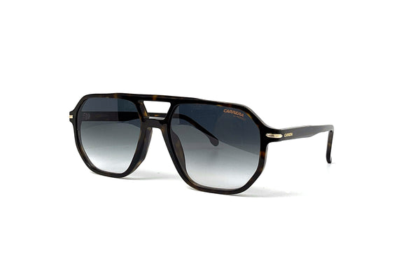 Carrera - 341/S (Black Gold)