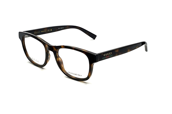 Gucci - GG1929O (Havana)