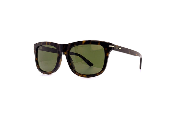 Gucci - GG1444S (Havana)