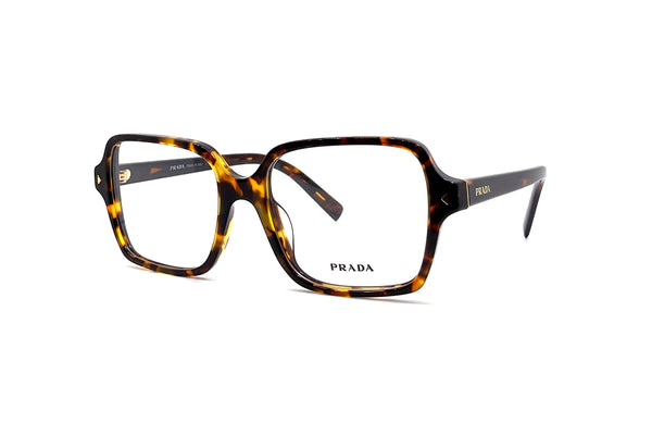 Prada - VPR A02 (Havana Clear)
