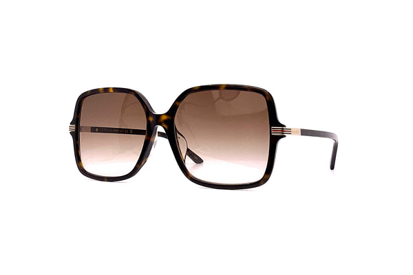 Gucci - GG1448SA (Havana)