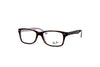 Ray-Ban - RB1531 Optics Kids (Polished Havana On Violet)
