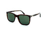 Persol - Renzo [53] (Havana | Green)