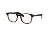 Lunor - A6 251 (Dark Havana)