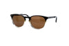 Oliver Peoples - Finley Esq. Sun (Kona Gradient Acetate | Terra Polarized Crystal)