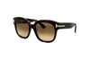 Tom Ford - ICON COLLECTION - TF1235 (Dark Havana)