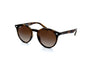 Ray-Ban - RJ9064S Kids (Havana | Brown Gradient) [44]
