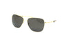 Randolph - Aviator (23K Gold | American Gray Polarized)