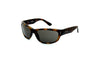 Ray-Ban - Junior - Balorama (Polished Havana| Brown)