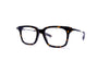 Dita Lancier - LSA-413 (Tortoise/Black Gun)