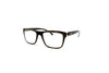Hoffmann Natural Eyewear - V7407 (H16 SG) FINAL SALE