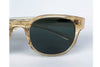 Entourage of 7 - Beacon (Vintage Amber)