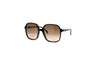 Valentino - VG0025S (Havana | Brown)