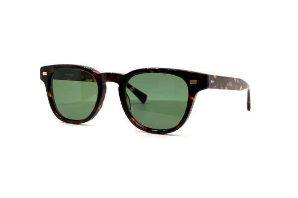 Eyevan - Hank-SUN-E (TORT)